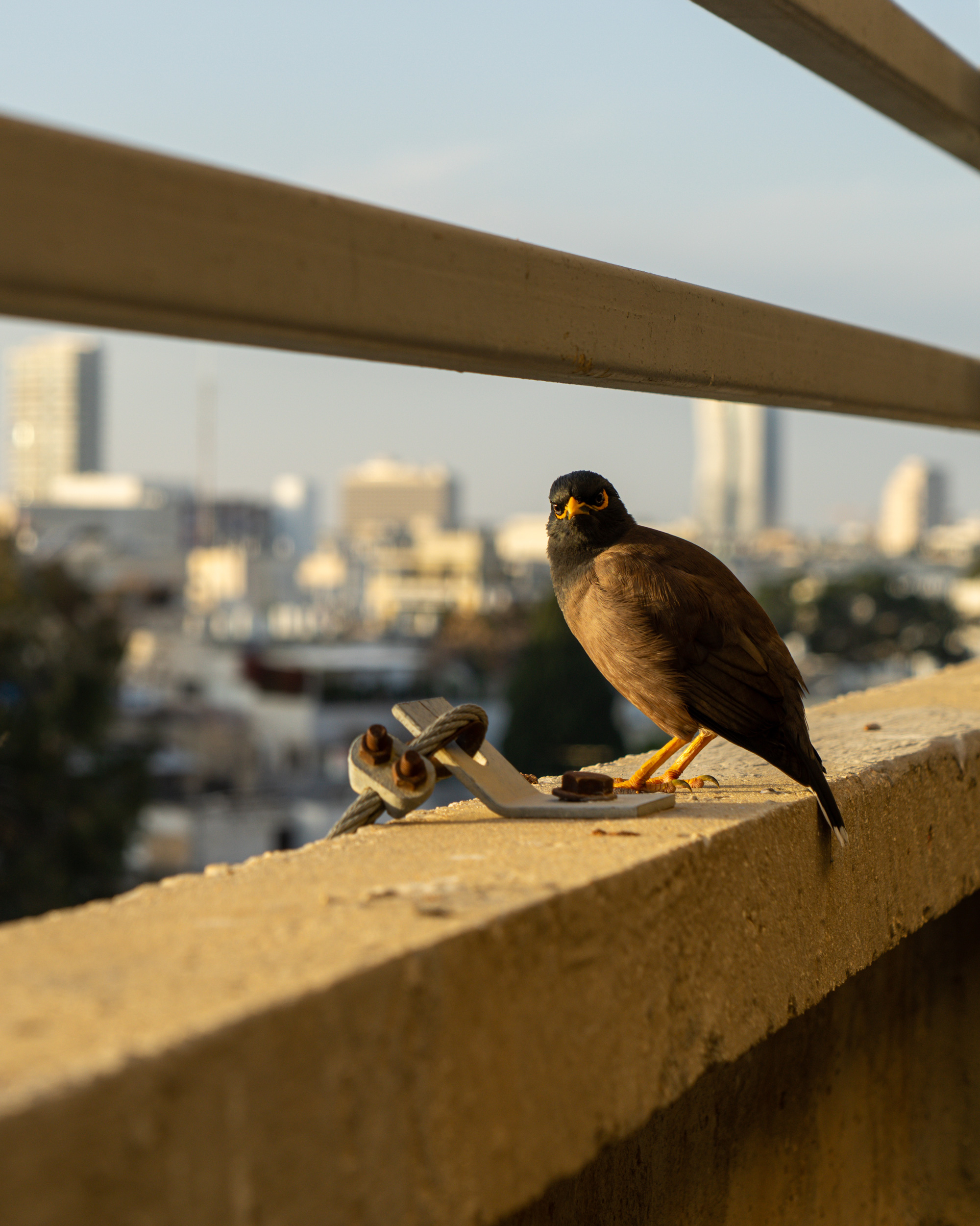 Brand Design & Photography Berlin – Janine Junk Brand Design & Photography Berlin – Janine Junk