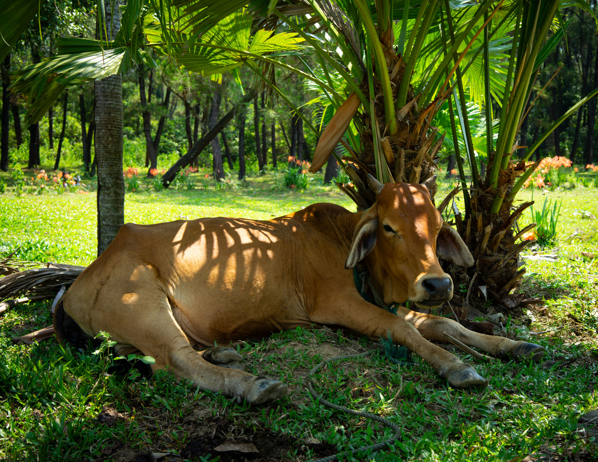 Brand Design & Photography Berlin – Janine Junk Brand Design & Photography Berlin – Janine Junk