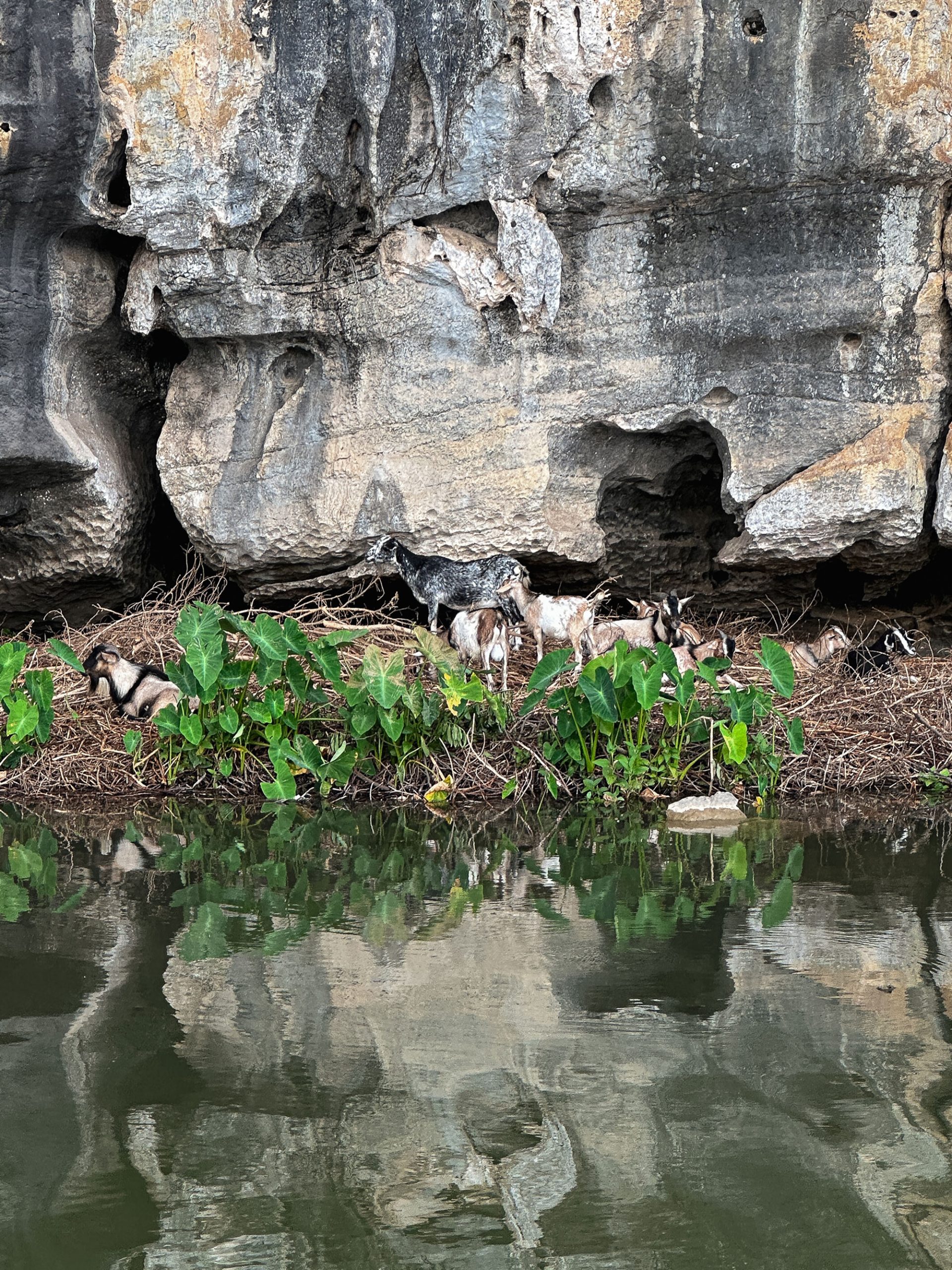 Brand Design & Photography Berlin – Janine Junk Brand Design & Photography Berlin – Janine Junk