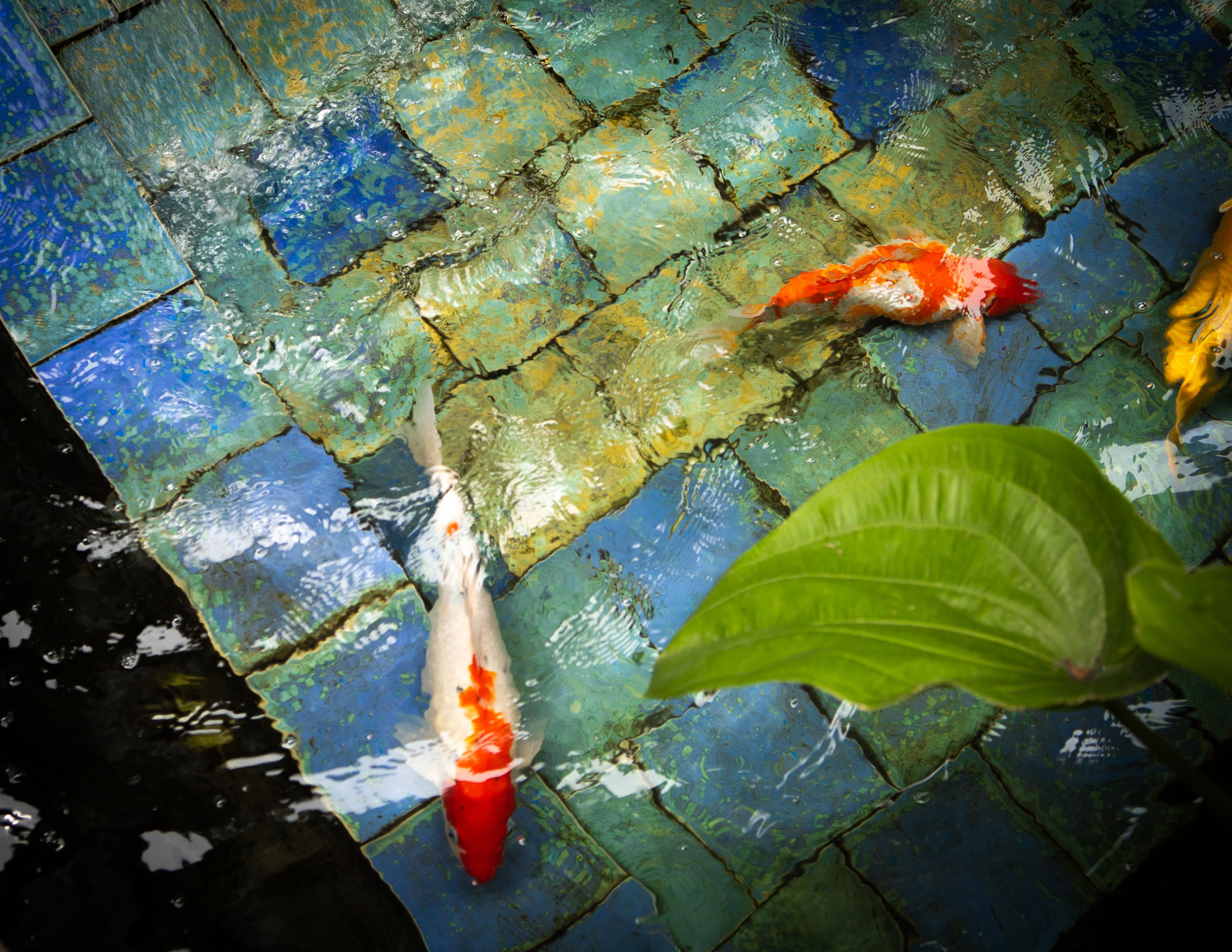 Brand Design & Photography Berlin – Janine Junk Brand Design & Photography Berlin – Janine Junk