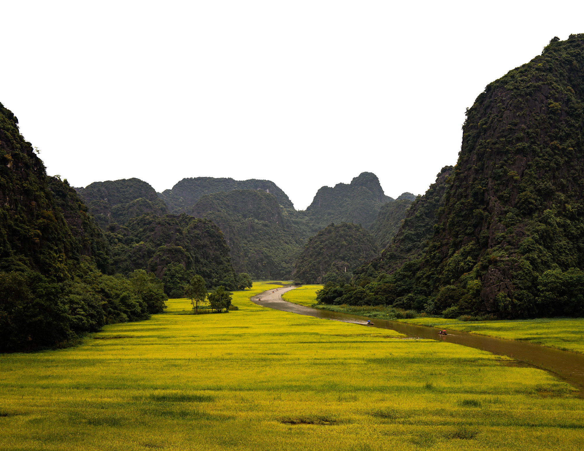 Brand Design & Photography Berlin – Janine Junk Brand Design & Photography Berlin – Janine Junk